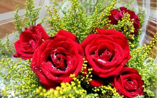 北京韋林意威特工業(yè)內(nèi)窺鏡有限公司預(yù)祝大家新年快樂，喜樂安康！